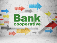Investindo por meio de cooperativa de crédito
