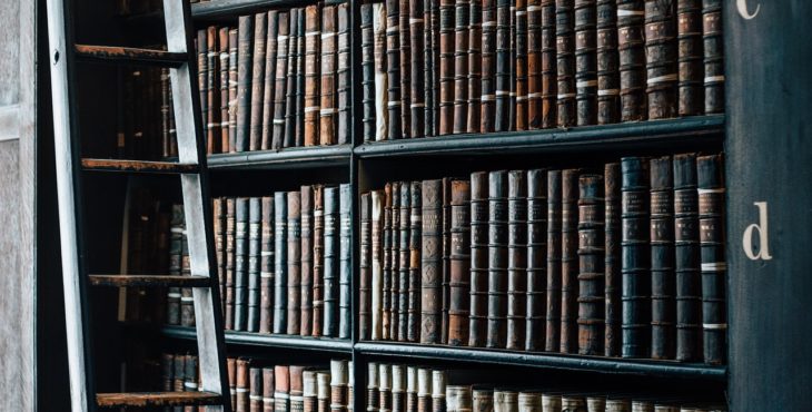Buggpedia: O que é o GDP?