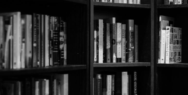 Buggpedia: O que é o ROIC?