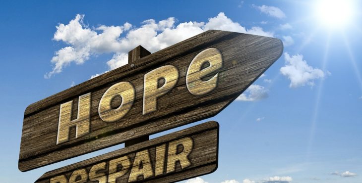 Fala de Guedes confirma “viés de confiança” dos investidores, diz Eleven Financial