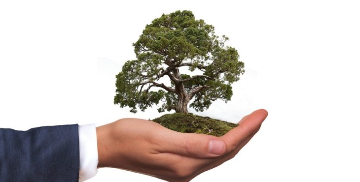 Meio Ambiente e Preservação Ambiental: a existência humana “por dentro” do cosmos