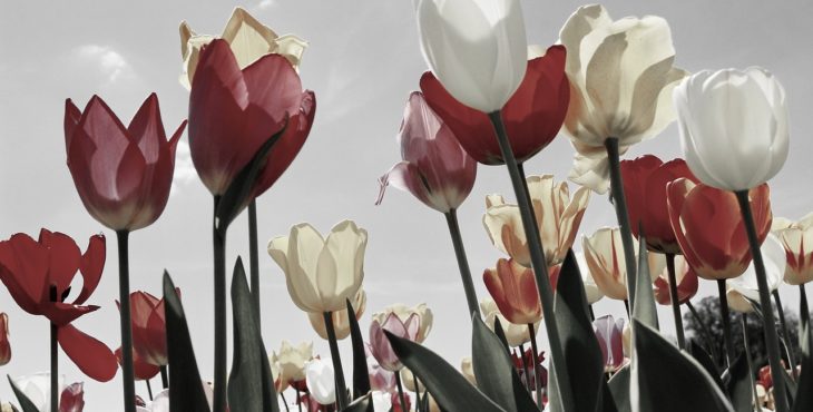 5 Grandes crises econômicas mundiais que abalaram o mundo