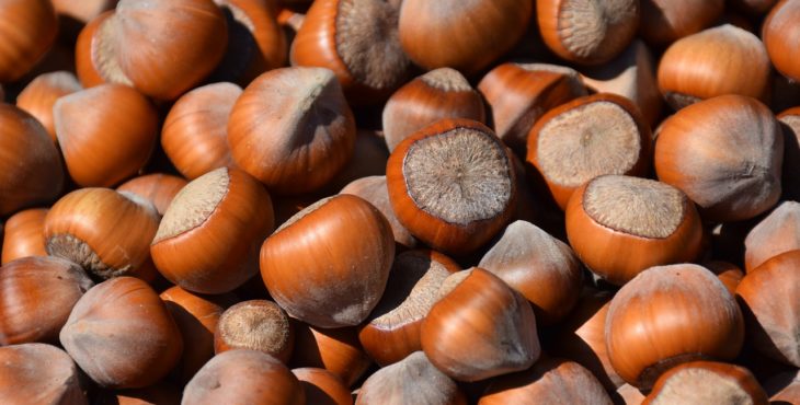Série Fintechs – Câmbio Nuts: uma nova forma de comprar moeda estrangeira