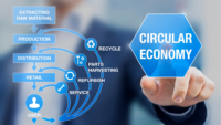 Economia circular: o que é e qual a sua importância para a sociedade?