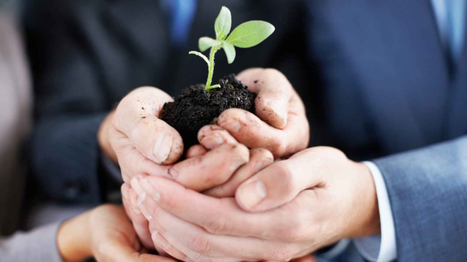 Investidor conservador: conheça suas principais características!