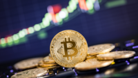 Cotação de bitcoins: ainda vale a pena investir nessa criptomoeda?