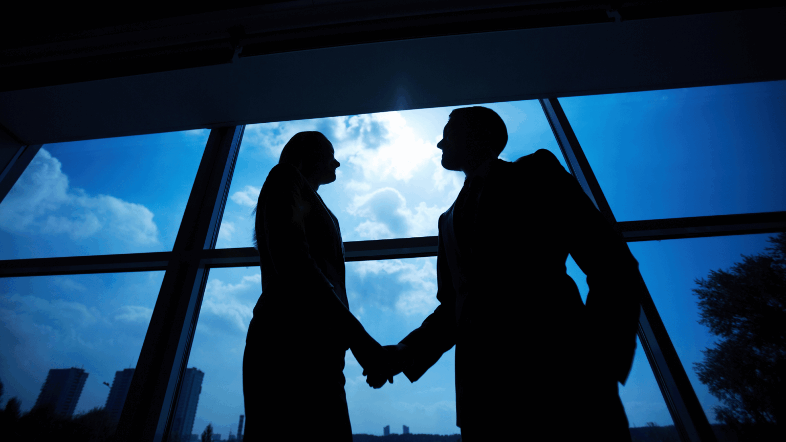 Conheça os 7 tipos de sociedade empresária!